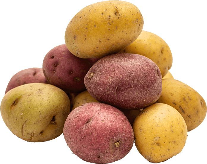 Red River Valley yellow potato acreage grows on market demand - Agweek